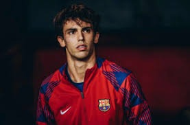 方向相反，气质相同：科内特是小白交易最好的回赠